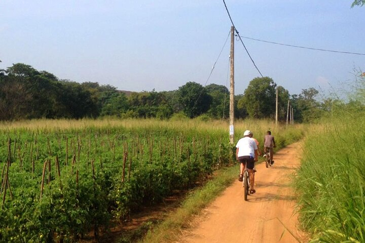 Sigiriya Cycle Safari Tour From Sigiriya  - Photo 1 of 5